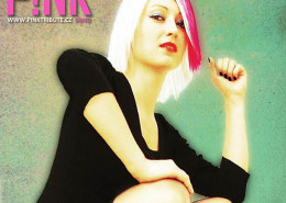 Pink Tribute